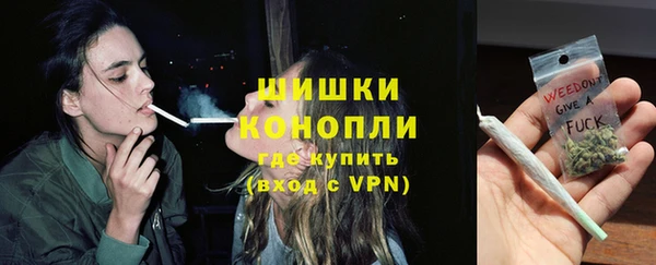 прущие грибы Балахна