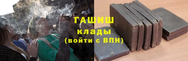 прущие грибы Балахна