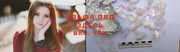 ПСИЛОЦИБИНОВЫЕ ГРИБЫ Баксан
