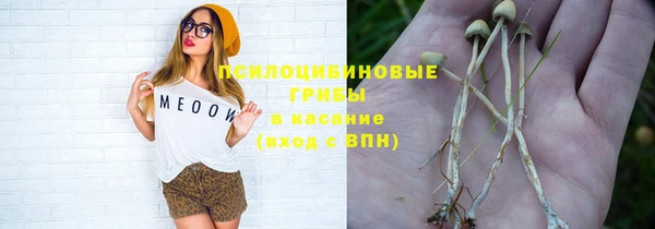 прущие грибы Балахна