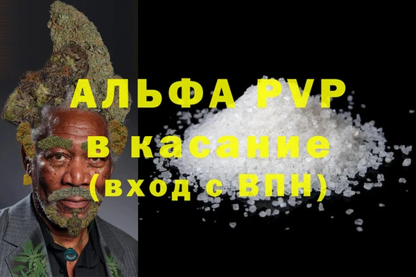 прущие грибы Балахна