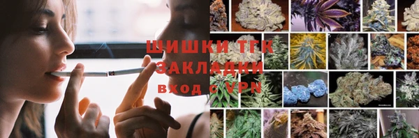 прущие грибы Балахна