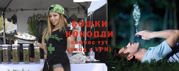 прущие грибы Балахна